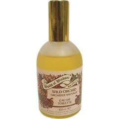 Wild Orchid Orchidée Sauvage