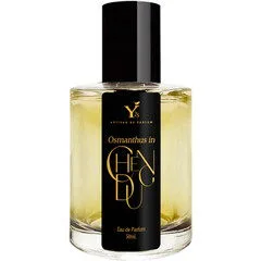 Osmanthus in Chengdu