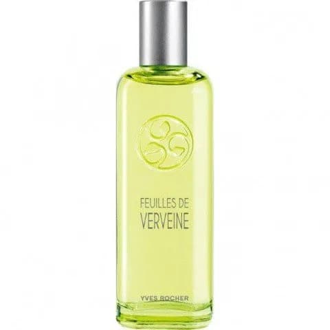 Un Matin au Jardin - Feuilles de Verveine