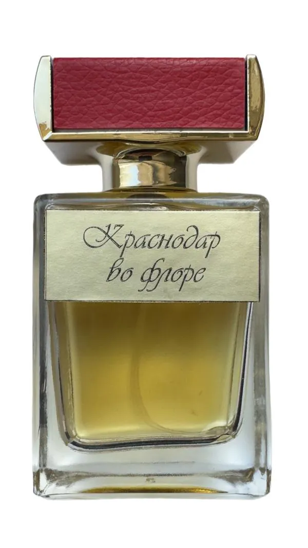 Krasnodar in flora (Краснодар во флоре)