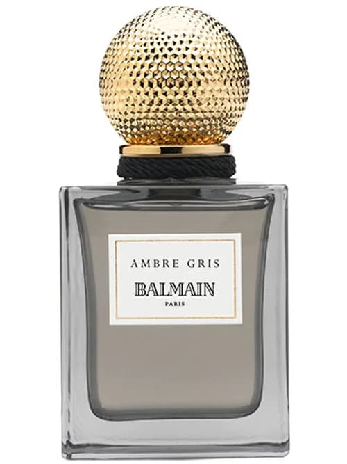 Ambre Gris