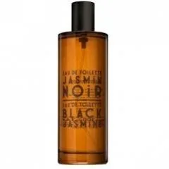Jasmin Noir Black Jasmine