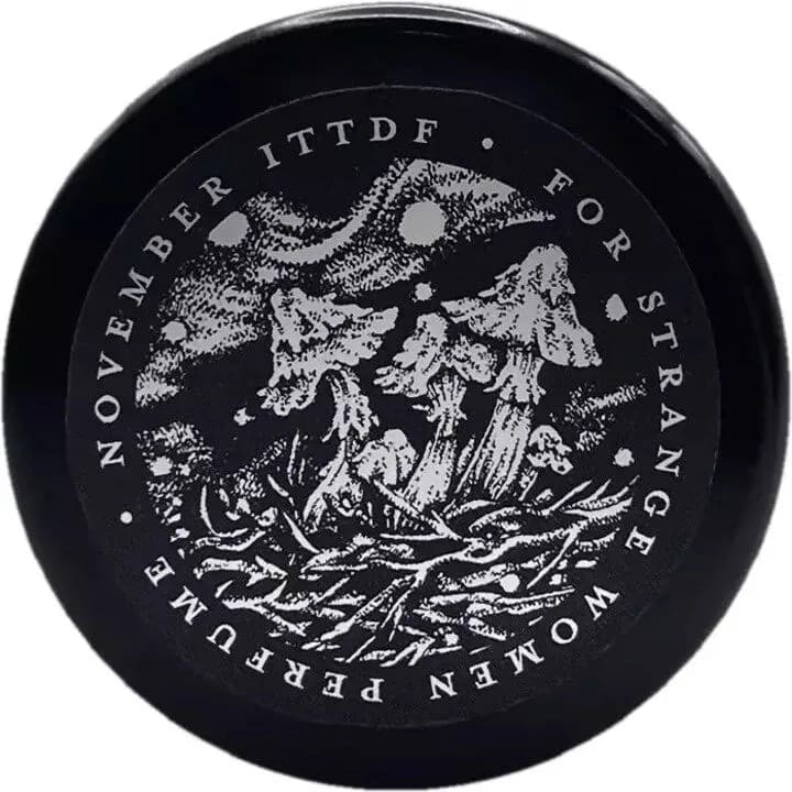 For Strange Women November In The Temperate Deciduous Forest For Strange Women Solid Perfume parfüm şişesi