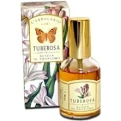 Tuberosa