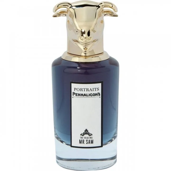 The Blazing Mister Sam