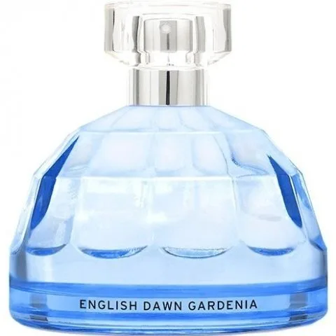 English Dawn Gardenia English Dawn White Gardenia / Gardenia Blanc d'un Matin Anglais