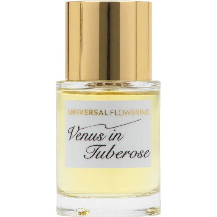 Venus in Tuberose
